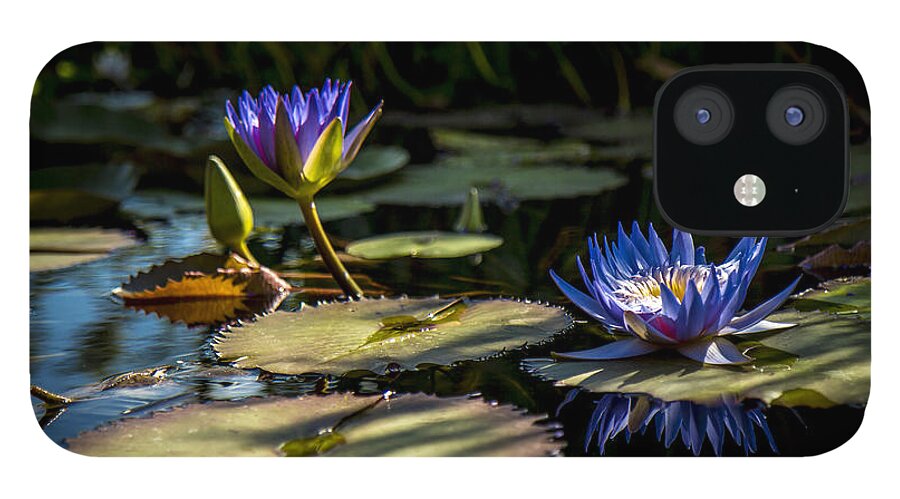 Flower iPhone 12 Case featuring the photograph Lit From Within by Laura Roberts