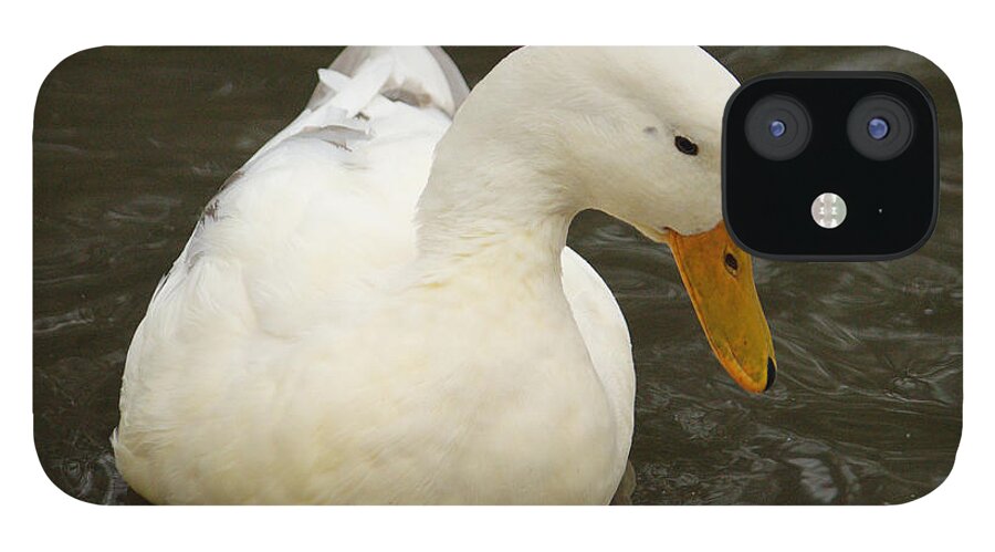 Little iPhone 12 Case featuring the photograph Little White Duck by Adrian Wale