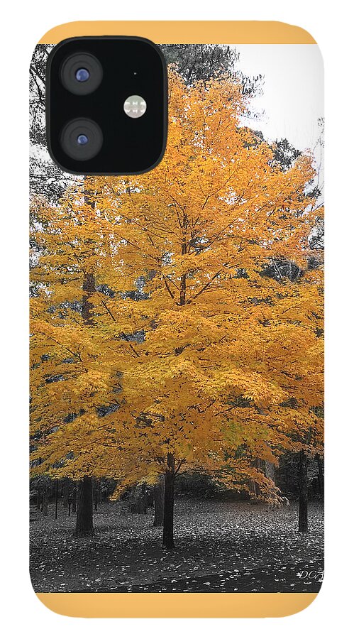 Autumn iPhone 12 Case featuring the photograph Lone Yellow Autumn Tree by Doris Aguirre