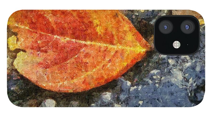 Asphalt iPhone 12 Case featuring the painting Loose Leaf by Jeffrey Kolker