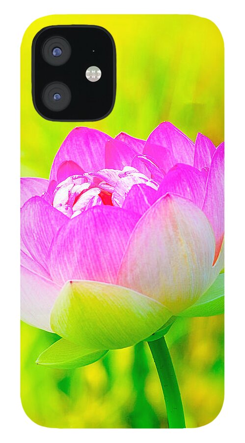 Lotus Flowers iPhone 12 Case featuring the photograph Lotus by Michael Hubley