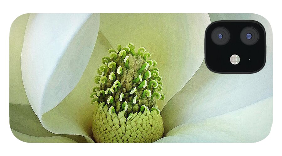 Floral iPhone 12 Case featuring the photograph Magnolia Grandiflora 3 by Deborah Smith