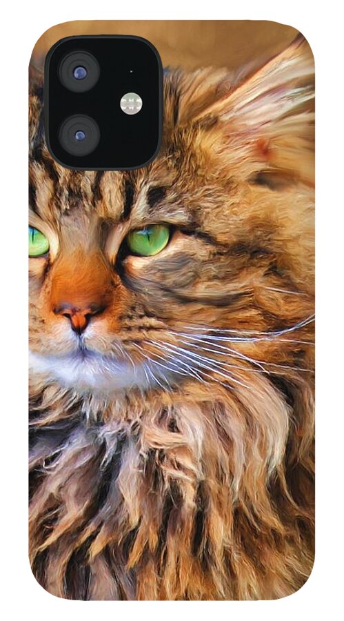 Maine Coon iPhone 12 Case featuring the painting Maine Coon Cat by Jai Johnson