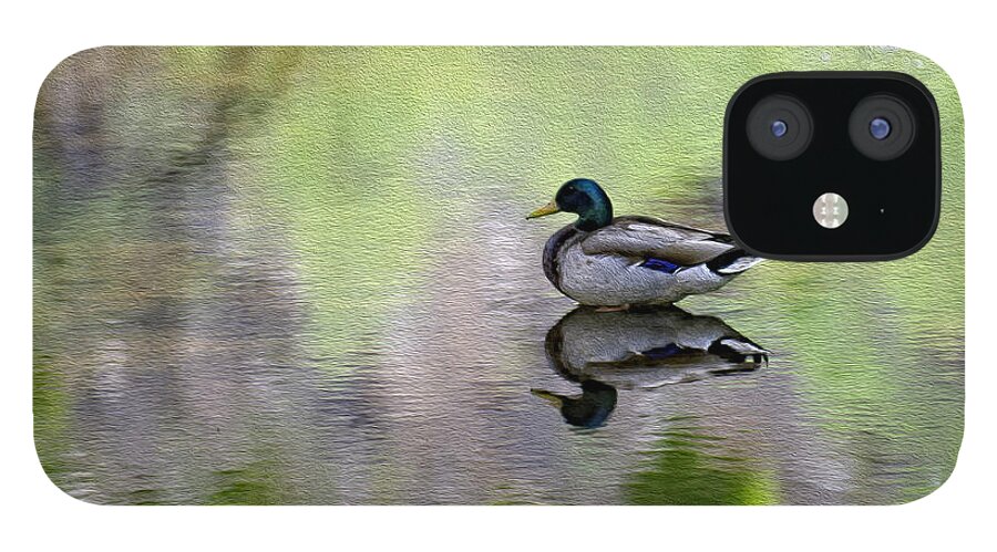 Myhaverphotography iPhone 12 Case featuring the photograph Mallard In Mountain Water by Mark Myhaver