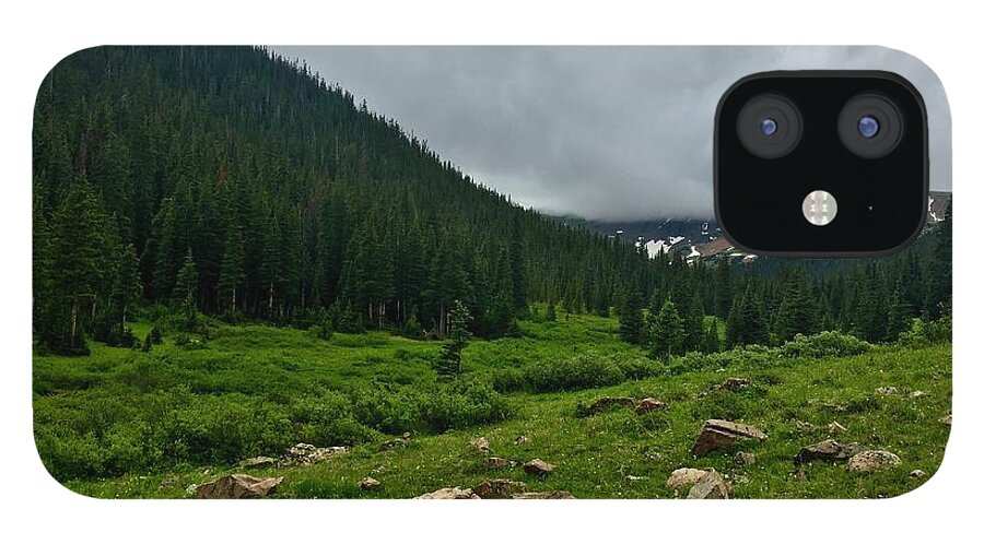 Mountain iPhone 12 Case featuring the photograph Meadow by Dennis Richardson