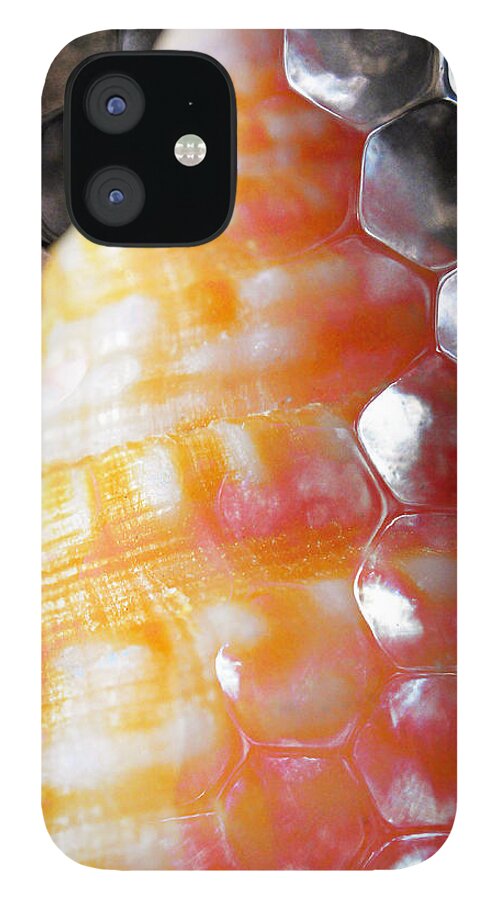 Skiphunt iPhone 12 Case featuring the photograph Merge 2 by Skip Hunt