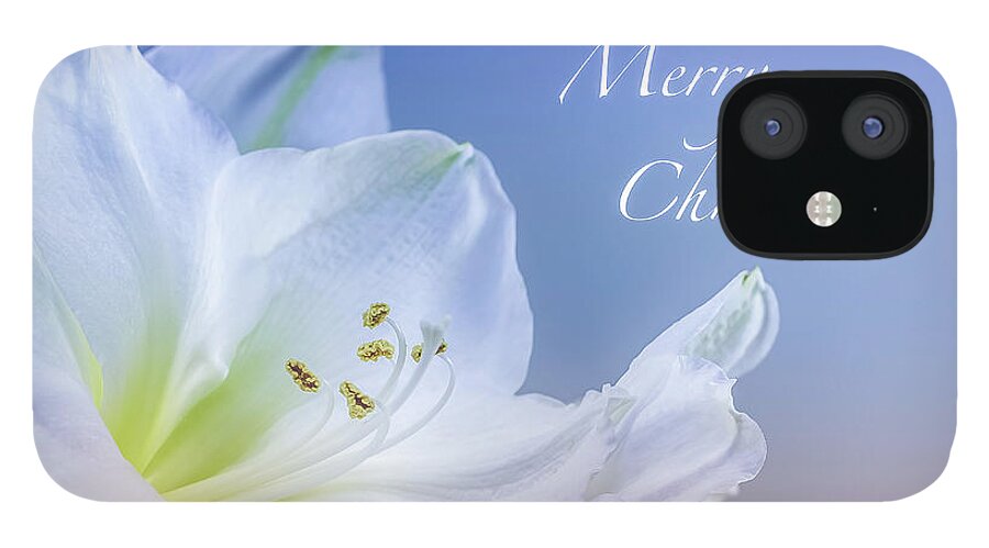 Mona Stut iPhone 12 Case featuring the photograph Christmas 3 by Mona Stut
