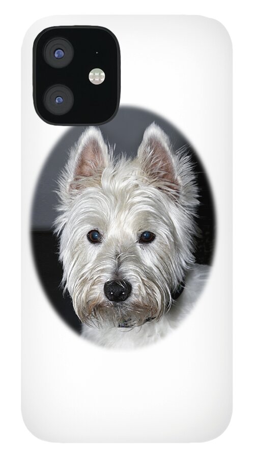 Purebred iPhone 12 Case featuring the photograph Mischievous Westie Dog by Bob Slitzan