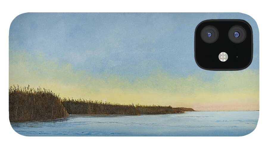 Gulf Of Mexico iPhone 12 Case featuring the painting Mississippi River Delta at Dawn by Paul Gaj