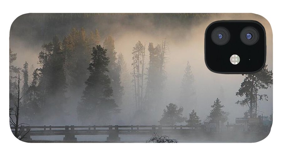 Bridge iPhone 12 Case featuring the photograph Misty Bridge by David Andersen