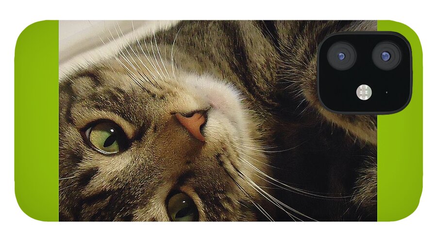 Cat iPhone 12 Case featuring the photograph Mom Likes Me Best by Leslie Manley