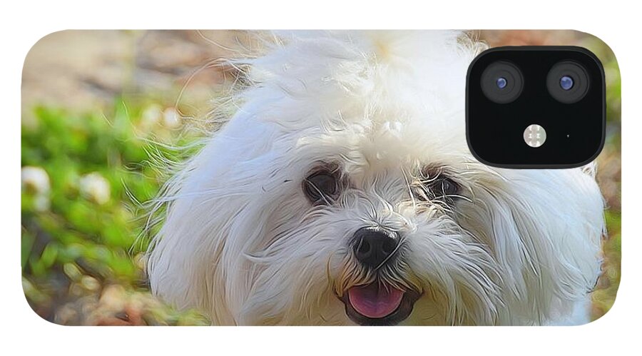 Lap Dogs-puppy-playful-affectionate-animal iPhone 12 Case featuring the photograph Momma's Baby by Scott Cameron