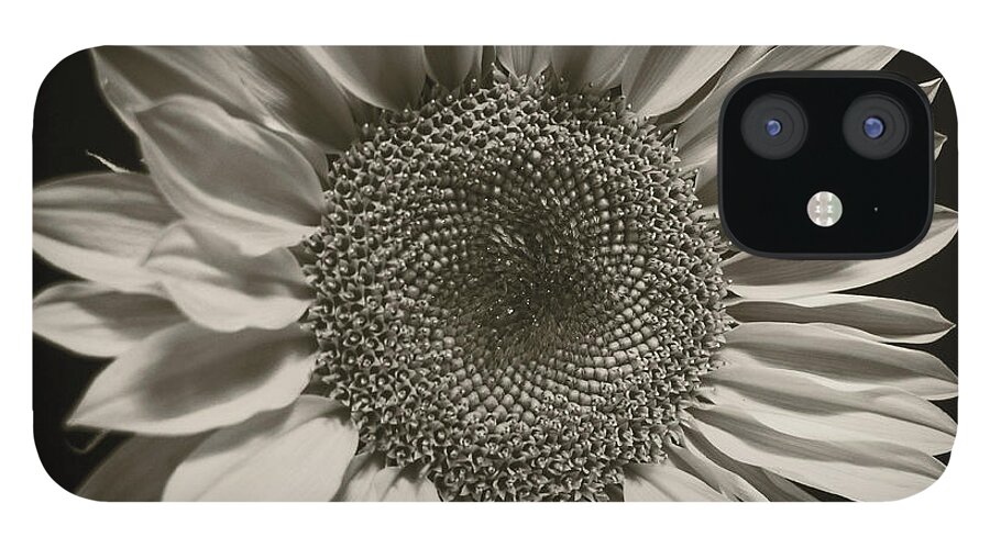 Wall Art iPhone 12 Case featuring the photograph Monochrome Sunflower by Kelly Holm