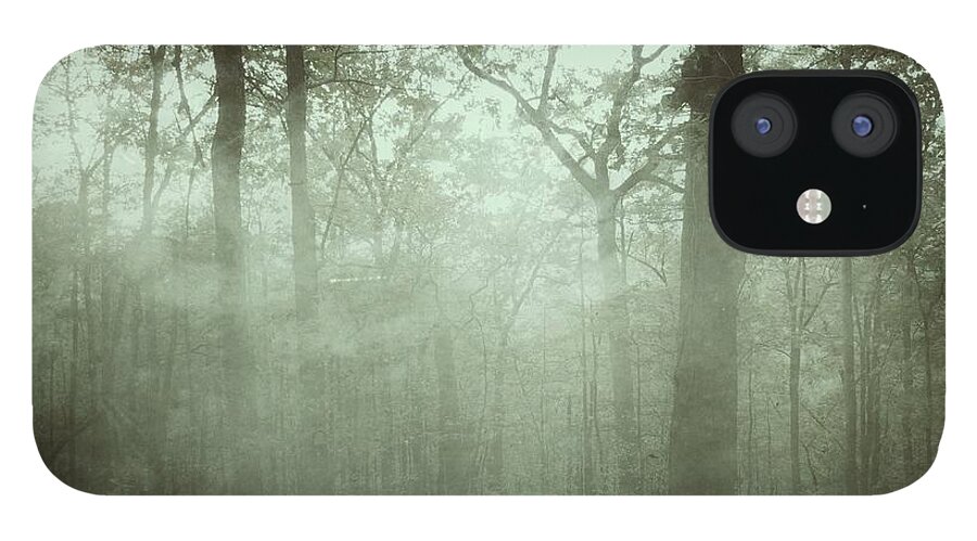 Fog iPhone 12 Case featuring the photograph Moody Foggy Forest by Doris Aguirre