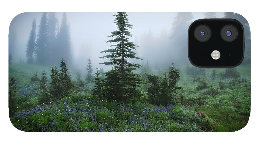 Moody Myrtle Falls Trail At Mount Rainier iPhone 12 Case featuring the photograph Moody Myrtle Falls Trail at Mount Rainier by Lynn Hopwood