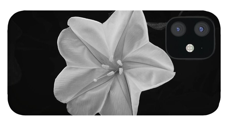 Flower iPhone 12 Case featuring the photograph Moon Flower by Lawrence S Richardson Jr