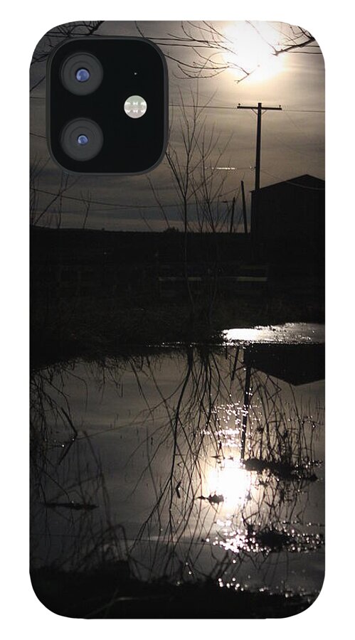 Moon iPhone 12 Case featuring the photograph Moonlight and silhouettes by Jean Evans