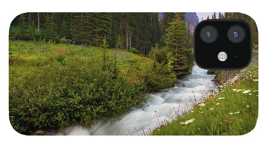 Moraine Lake iPhone 12 Case featuring the photograph Moraine Stream Wildflower Display by Norma Brandsberg