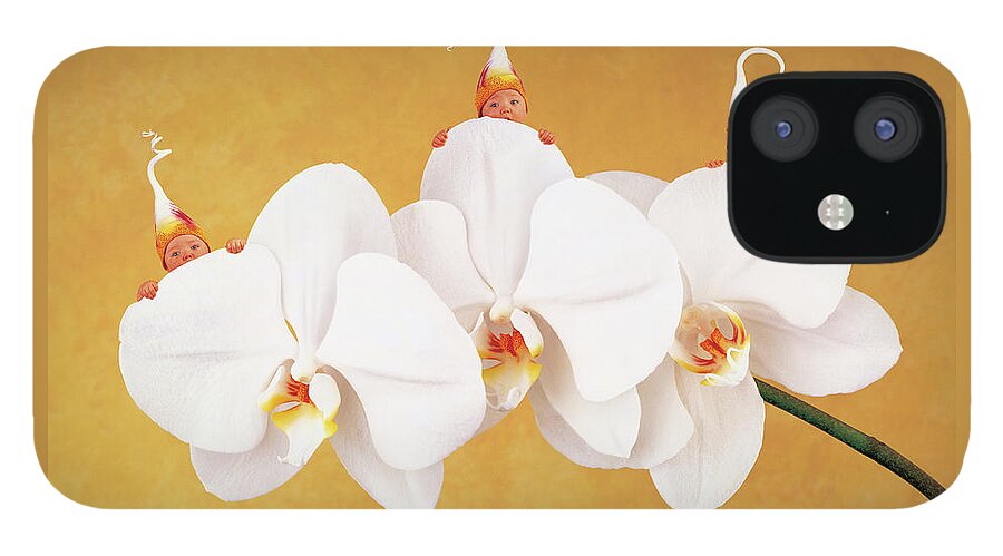 Triplets iPhone 12 Case featuring the photograph Moth Orchid by Anne Geddes
