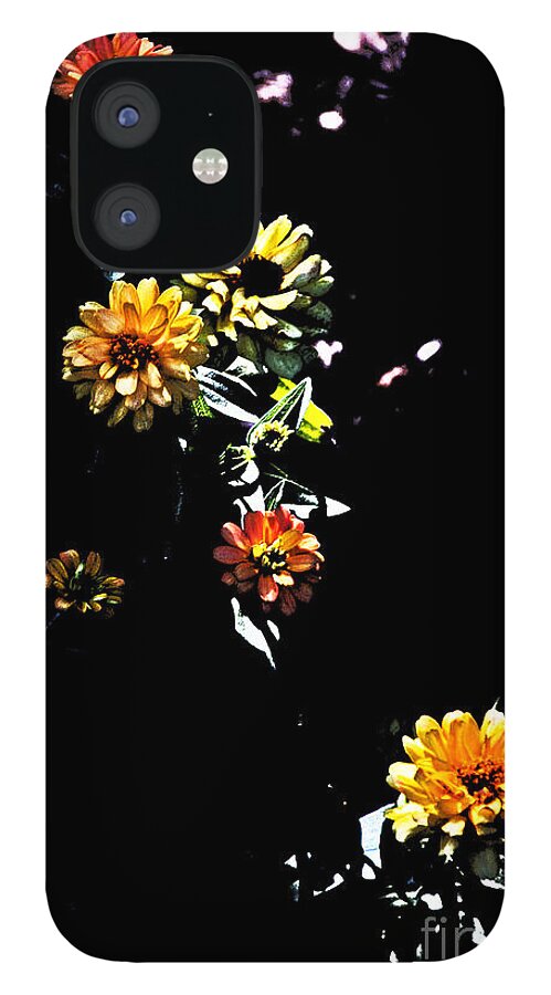  iPhone 12 Case featuring the photograph Multi-Color Zinnias on Black Background by David Frederick
