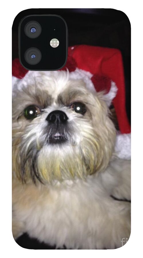 Christmas iPhone 12 Case featuring the photograph My lil Murray Christmas by Lisa Koyle
