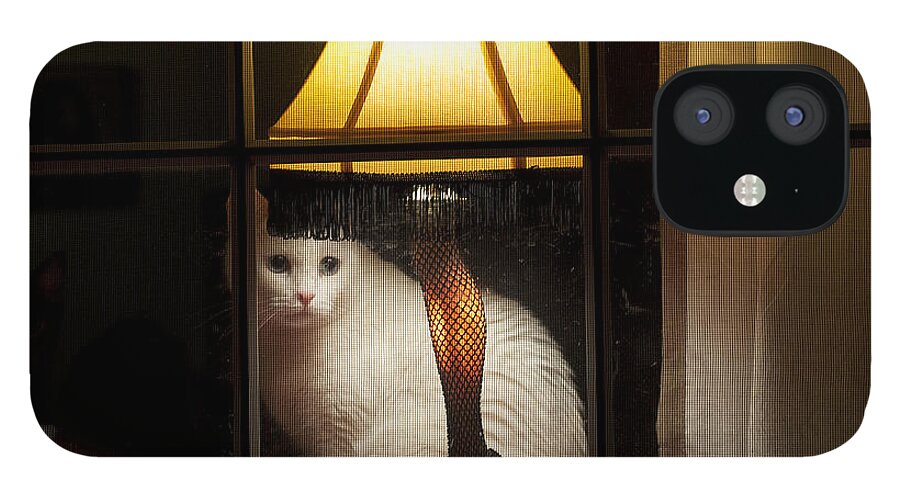 Leg Lamp iPhone 12 Case featuring the photograph My Major Award by Kenneth Albin