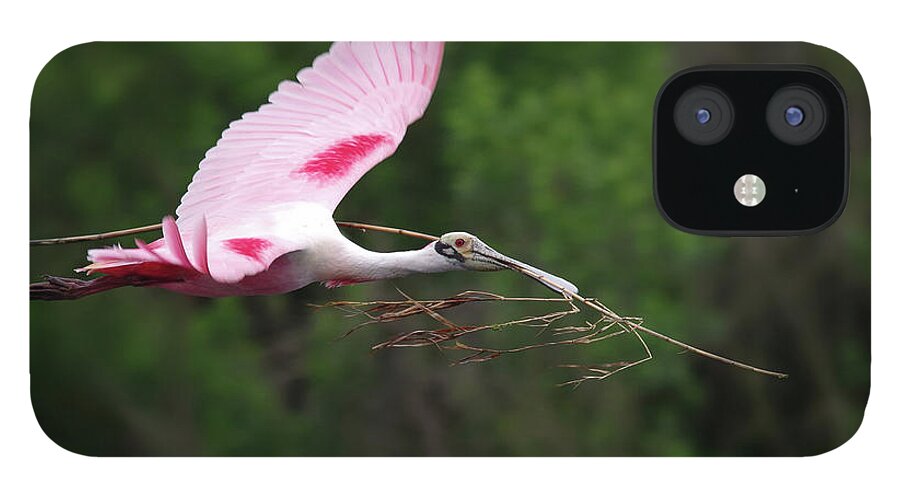 Spoonbill iPhone 12 Case featuring the photograph Nestorations. by Evelyn Garcia