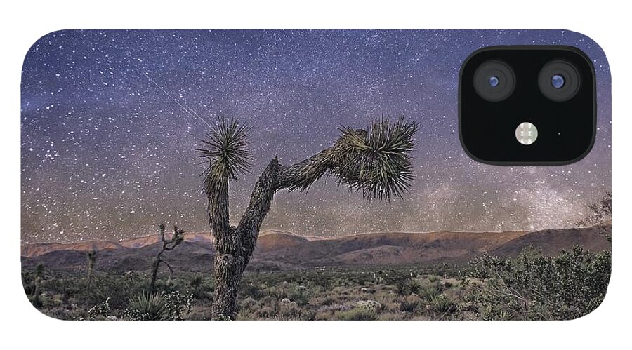 Night Sky iPhone 12 Case featuring the photograph Night Sky by Alison Frank