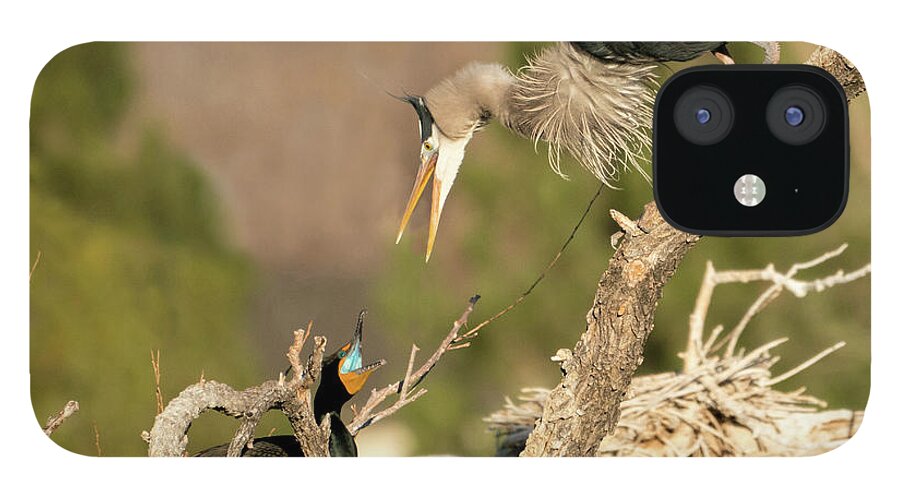 Gbh iPhone 12 Case featuring the photograph Not from My Nest by Judi Dressler