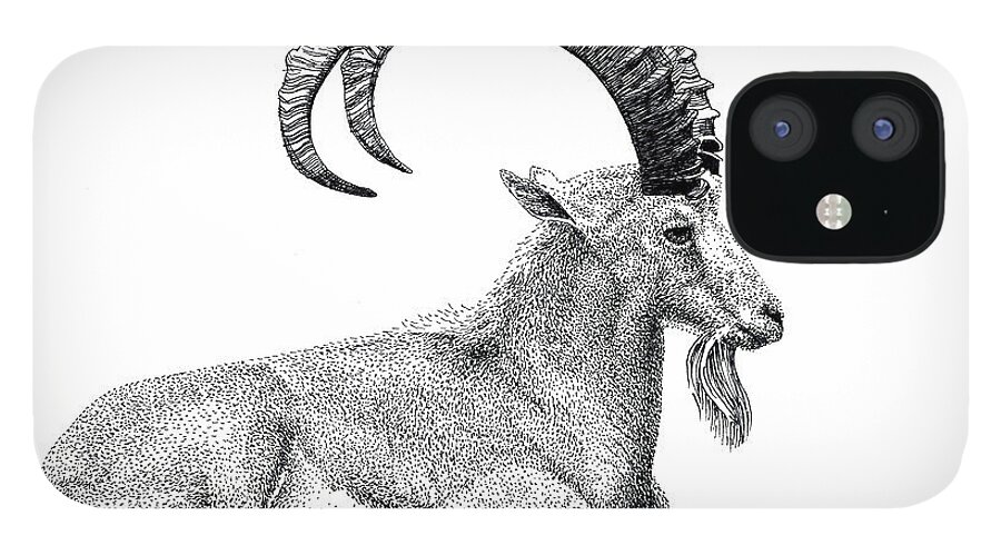 Nubian Ibex iPhone 12 Case featuring the drawing Nubian Ibex by Scott Woyak