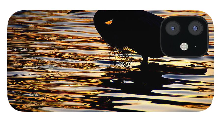 Birds iPhone 12 Case featuring the photograph On Golden Pond by Neil Shapiro