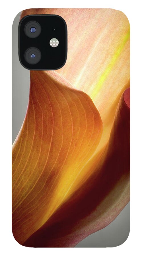 Calla Lily iPhone 12 Case featuring the photograph Orange Calla Lily by Frederic A Reinecke