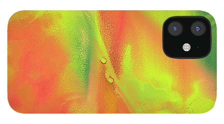 Ebsq iPhone 12 Case featuring the digital art Orange Lime Green Abstract by Dee Flouton