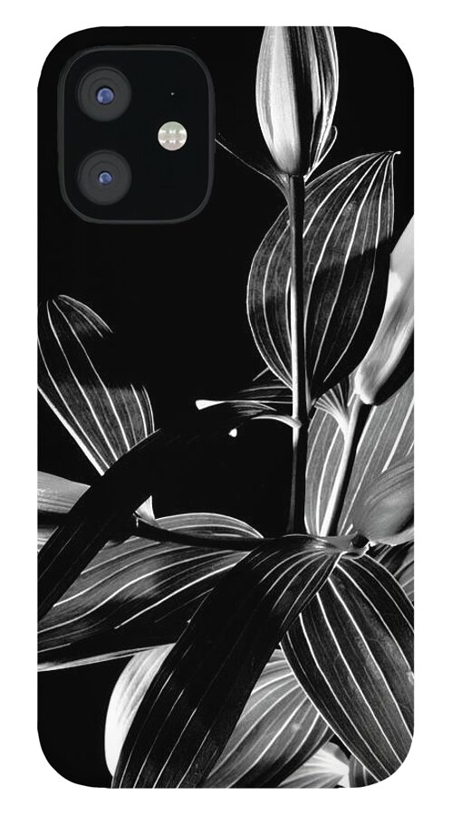 Black And White iPhone 12 Case featuring the photograph Oriental Lily One by Frederic A Reinecke