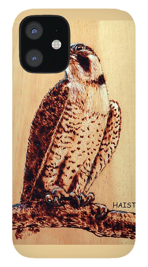 Osprey iPhone 12 Case featuring the pyrography Osprey 2 Pillow/bag by Ron Haist