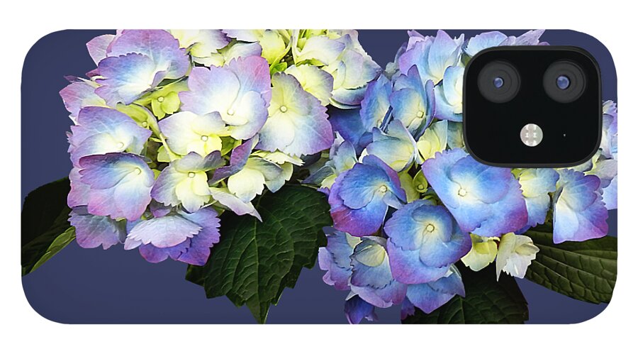 Hydrangea iPhone 12 Case featuring the photograph Pale Pink and Blue Hydrangea by Susan Savad
