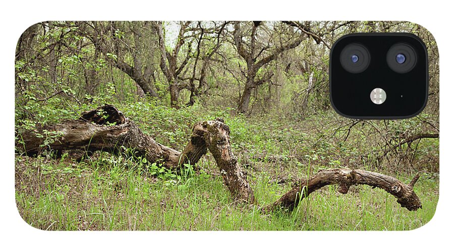 Anderson River Park iPhone 12 Case featuring the photograph Park Serpent by Carol Lynn Coronios