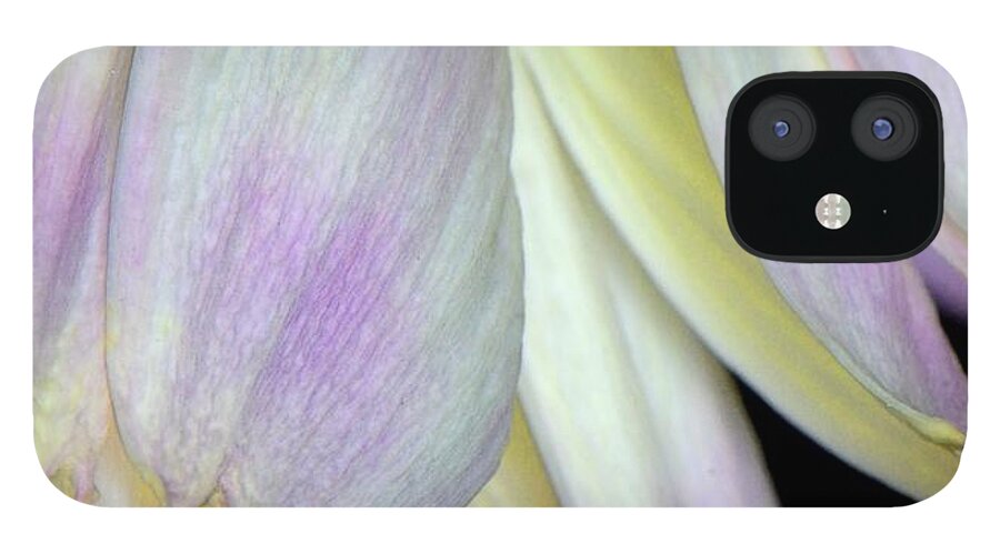 Petal Tips iPhone 12 Case featuring the photograph Pastel Gerbera Petal Tips by Debra Sabeck