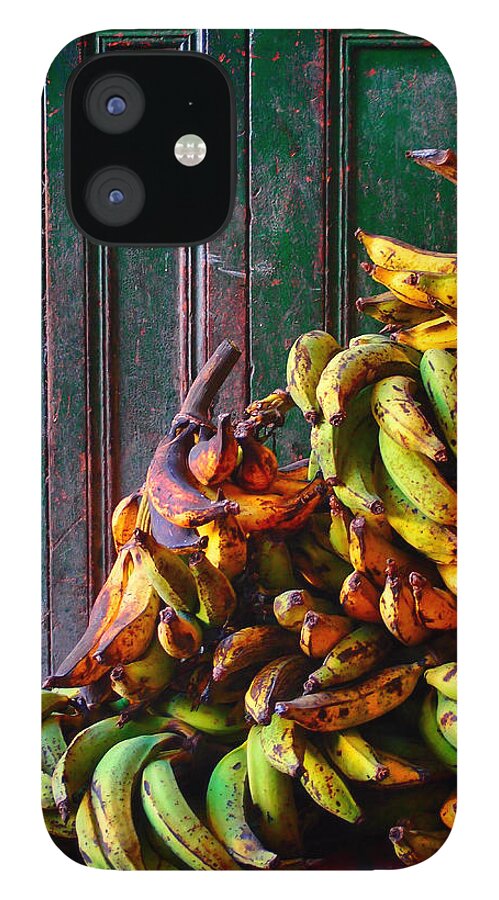 Patacon iPhone 12 Case featuring the photograph Patacon by Skip Hunt