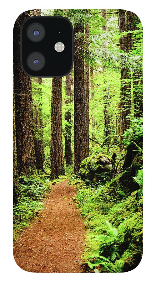 Woods iPhone 12 Case featuring the photograph Path to Peace by Tim Dussault