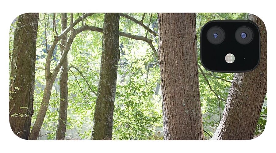 Trees iPhone 12 Case featuring the photograph Peace by Ali Baucom