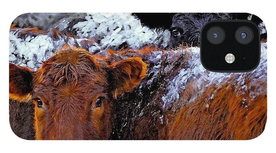 Heifers iPhone 12 Case featuring the photograph Peek a Boo Heifers by Amanda Smith