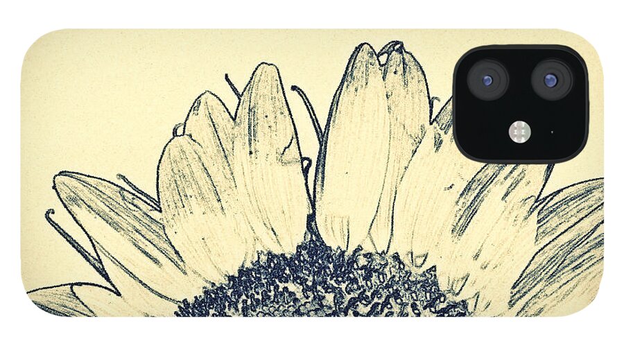 Sunflower iPhone 12 Case featuring the photograph Pencil Sunflower- Fine Art by KayeCee Spain