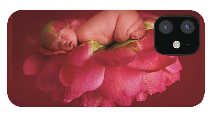 Pink iPhone 12 Case featuring the photograph Chelsea on a Pink Peony Rose by Anne Geddes
