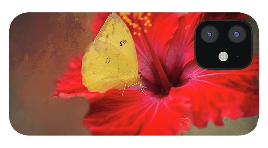 Phoebis Philea iPhone 12 Case featuring the photograph Phoebis Philea on a Hibiscus by Eva Lechner
