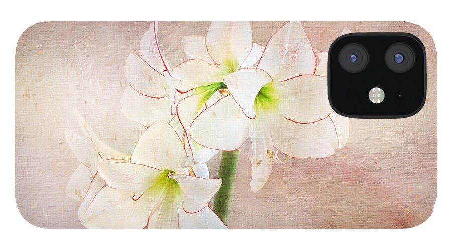 Flower iPhone 12 Case featuring the digital art Picotee Amaryllis by Terry Davis