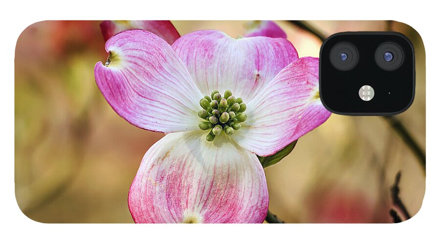 Nature iPhone 12 Case featuring the photograph Pink Dogwood Bloom by Michael Whitaker