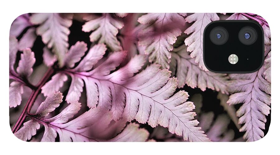 Pink iPhone 12 Case featuring the photograph Pink Fern by Tracey Lee Cassin