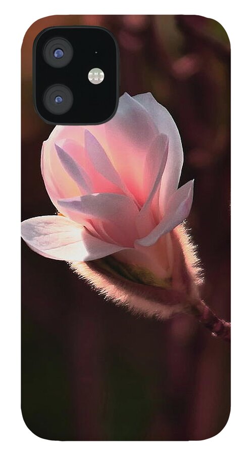 Magnolia iPhone 12 Case featuring the photograph Pink Magnolia by Jeff Townsend