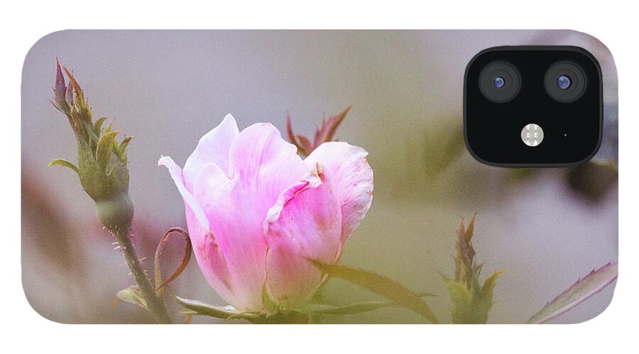 Closeup iPhone 12 Case featuring the photograph Pink by Todd Blanchard